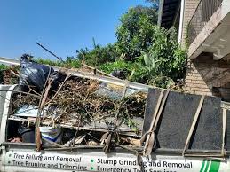 Best Shed Removal  in Smyrna, DE